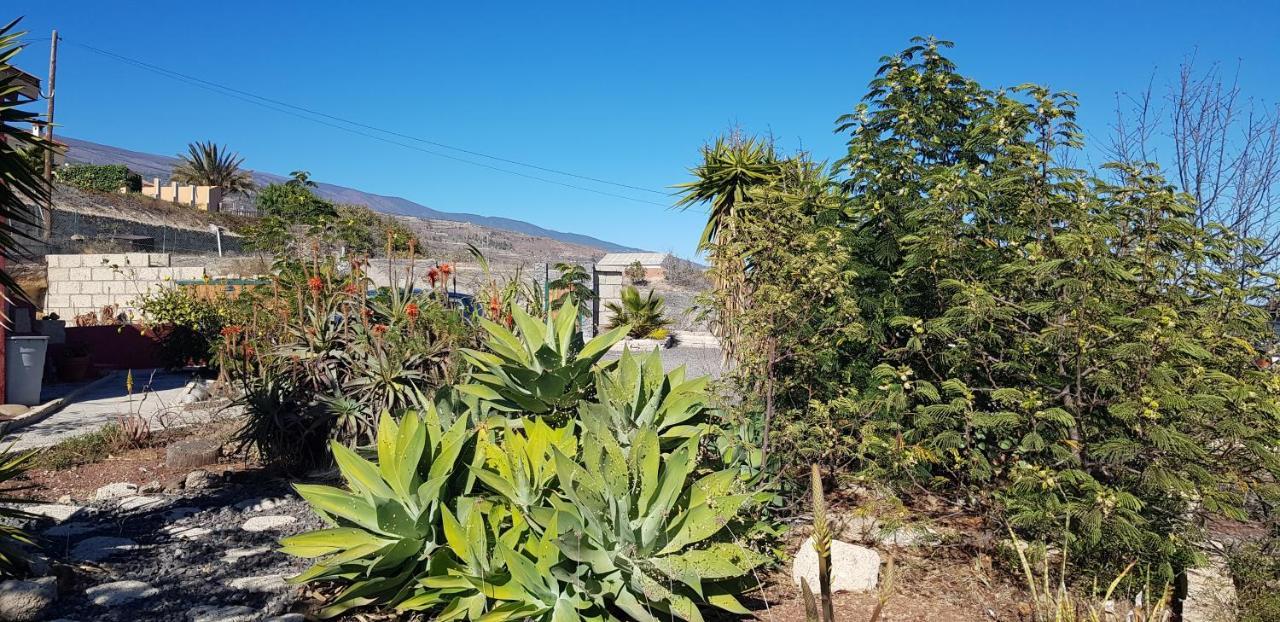 Alojamiento Unico Y Tranquilo Arico Con Fibra Optica Exteriér fotografie